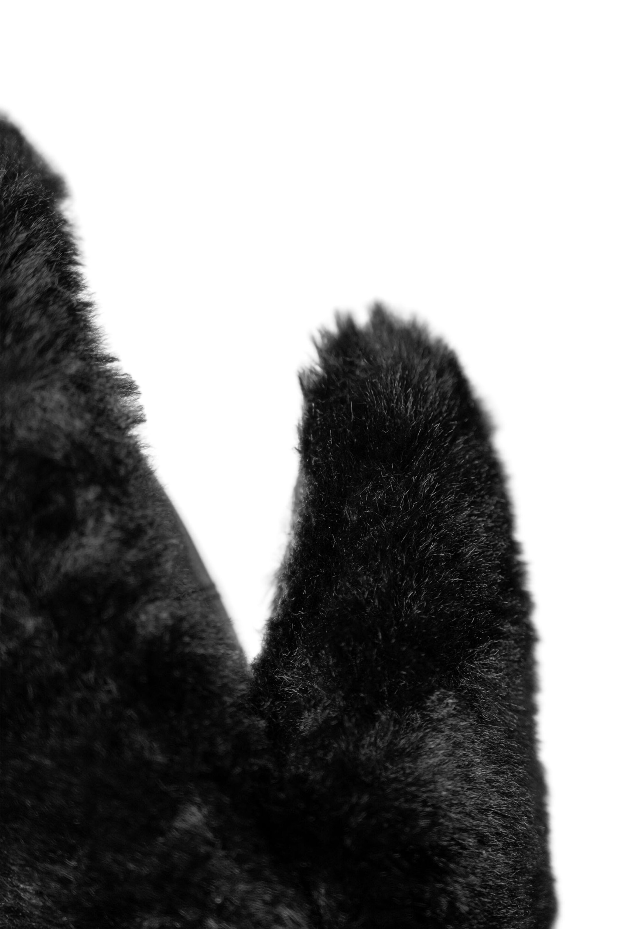 REUSCH Sports gloves 'Molly' in Black