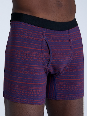 Albero Natur Boxershorts in Lila