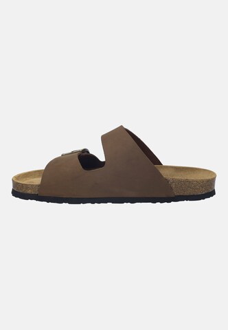 JOSEF SEIBEL Sandal 'JOSEF 01' in Brown
