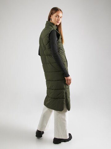 Noisy may Vest 'DALCON' in Green