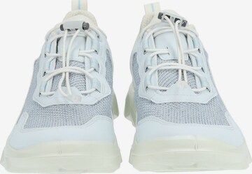 Sneaker bassa di ECCO in blu