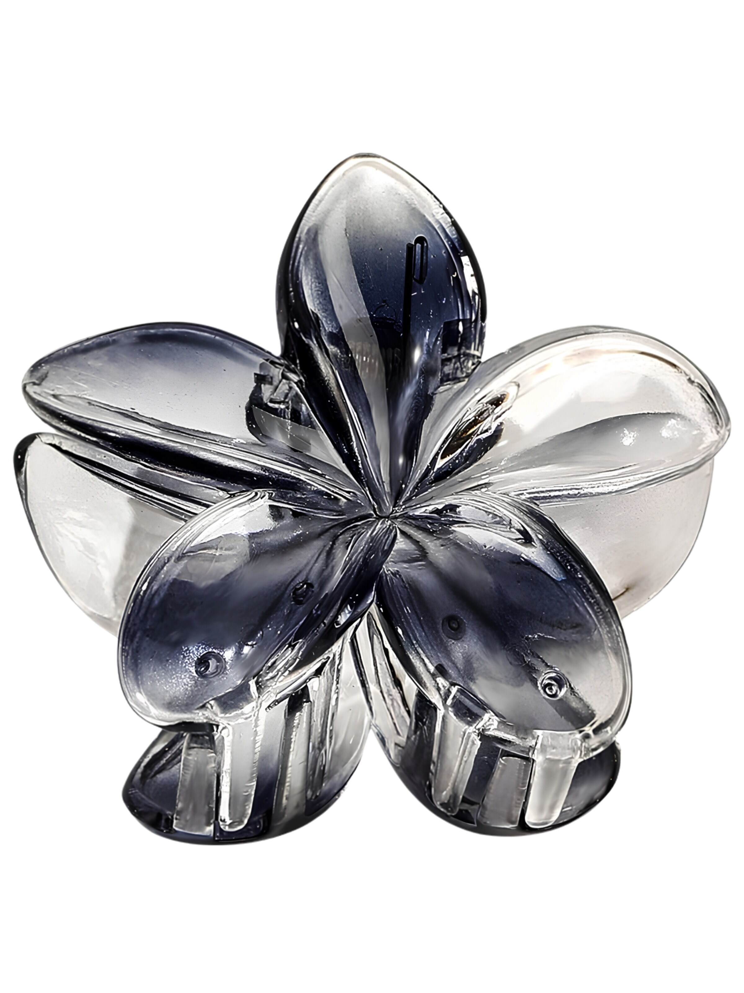 soho Hair accesoires Šperky do vlasů 'Moana Hair Claw - Black' ve velikosti 11 cm x 8 cm x 2cm - černá, Produkt