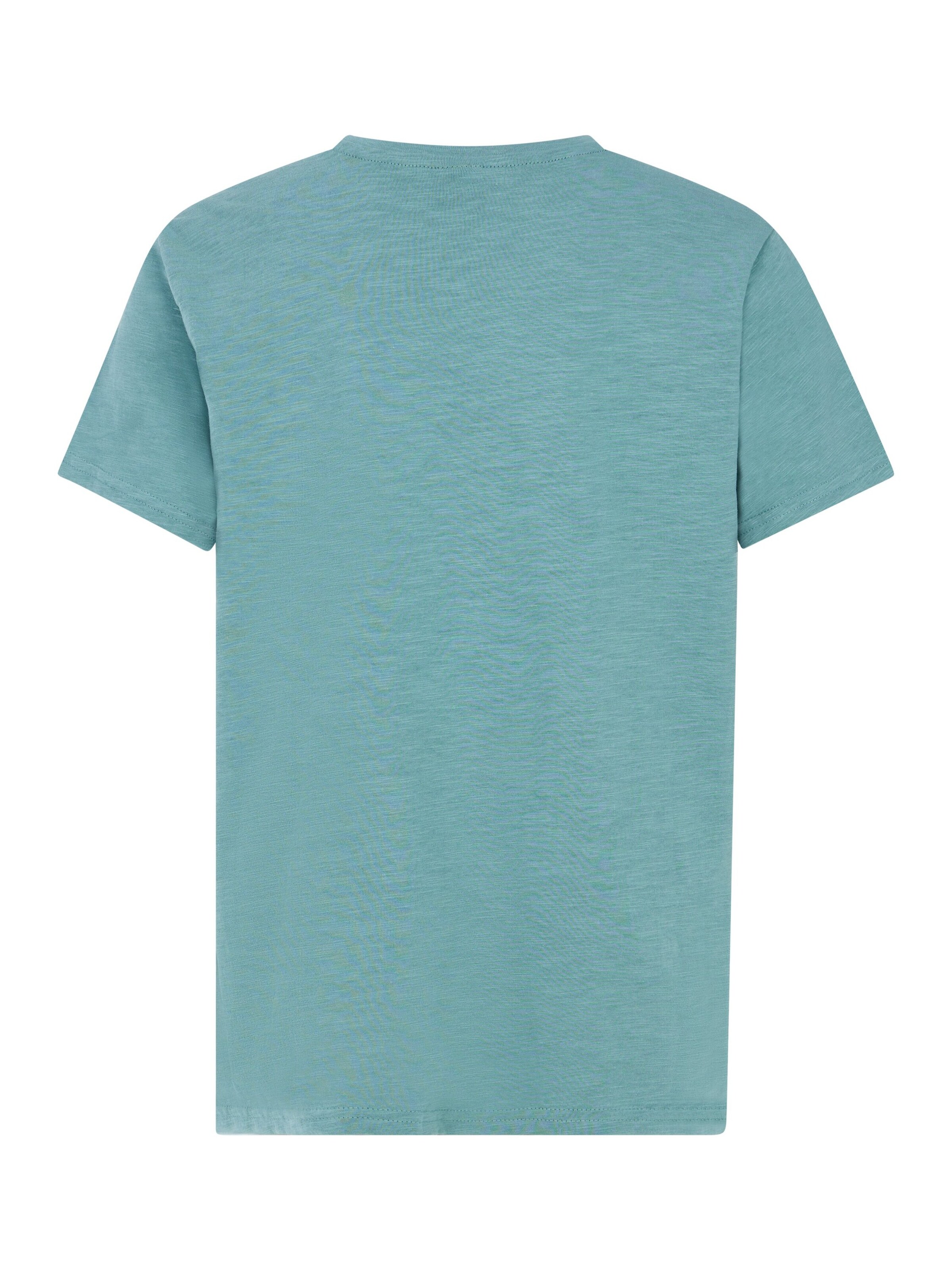 PROTEST Shirt 'PRTPeter JR' in Groen