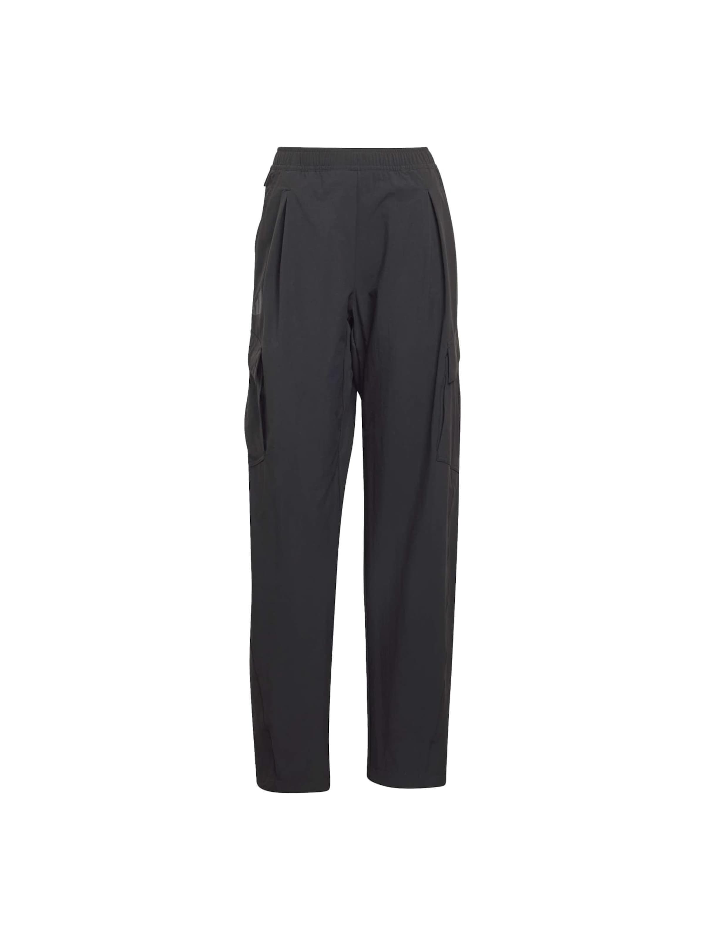 ADIDAS TERREX Szabványos Kültéri nadrágok - fekete: elől