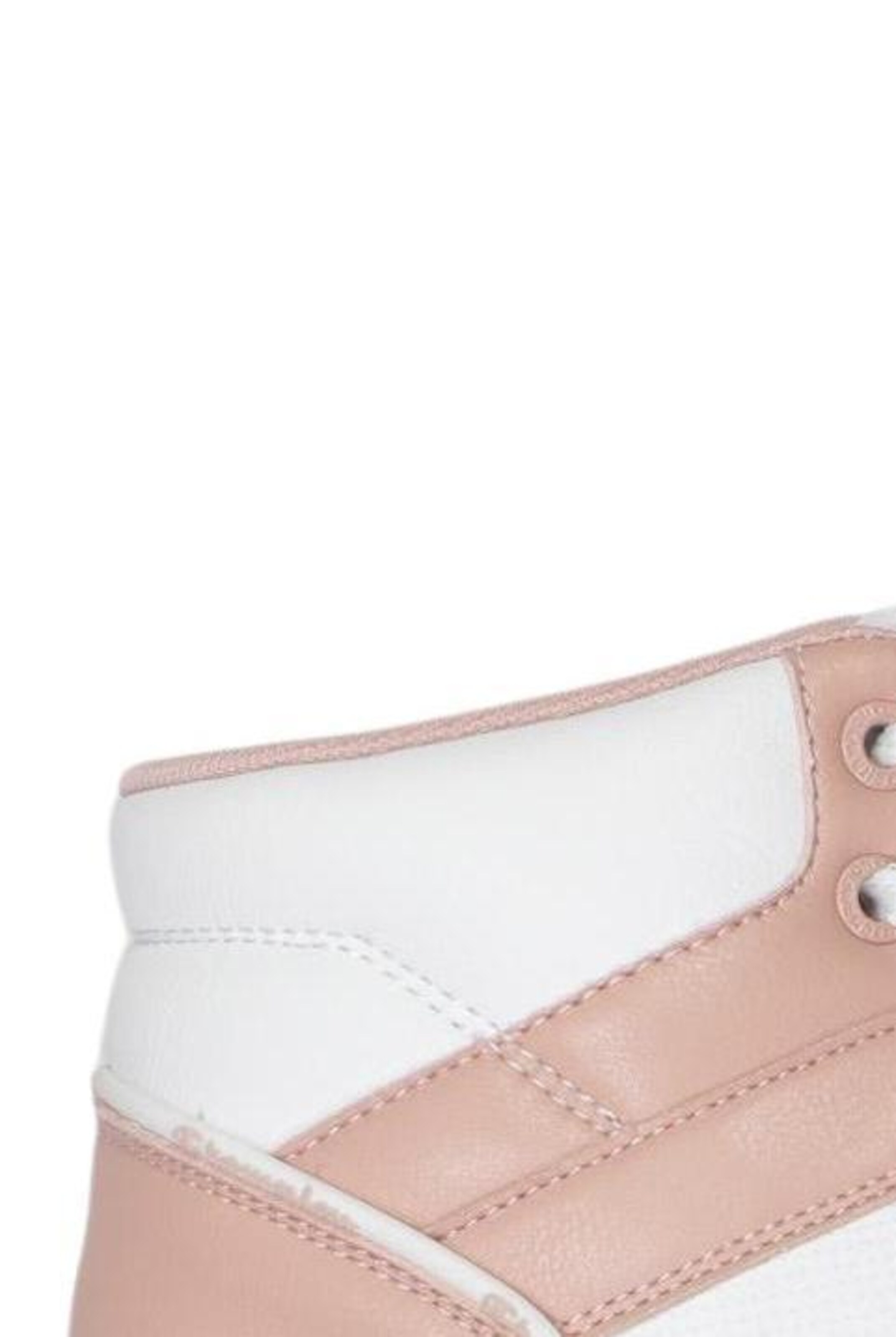 Champion Authentic Athletic Apparel Sneaker 39 in Mischfarben