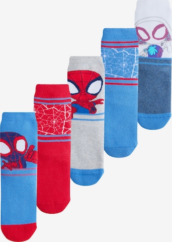 mėlyna Next Kojinės: priekis