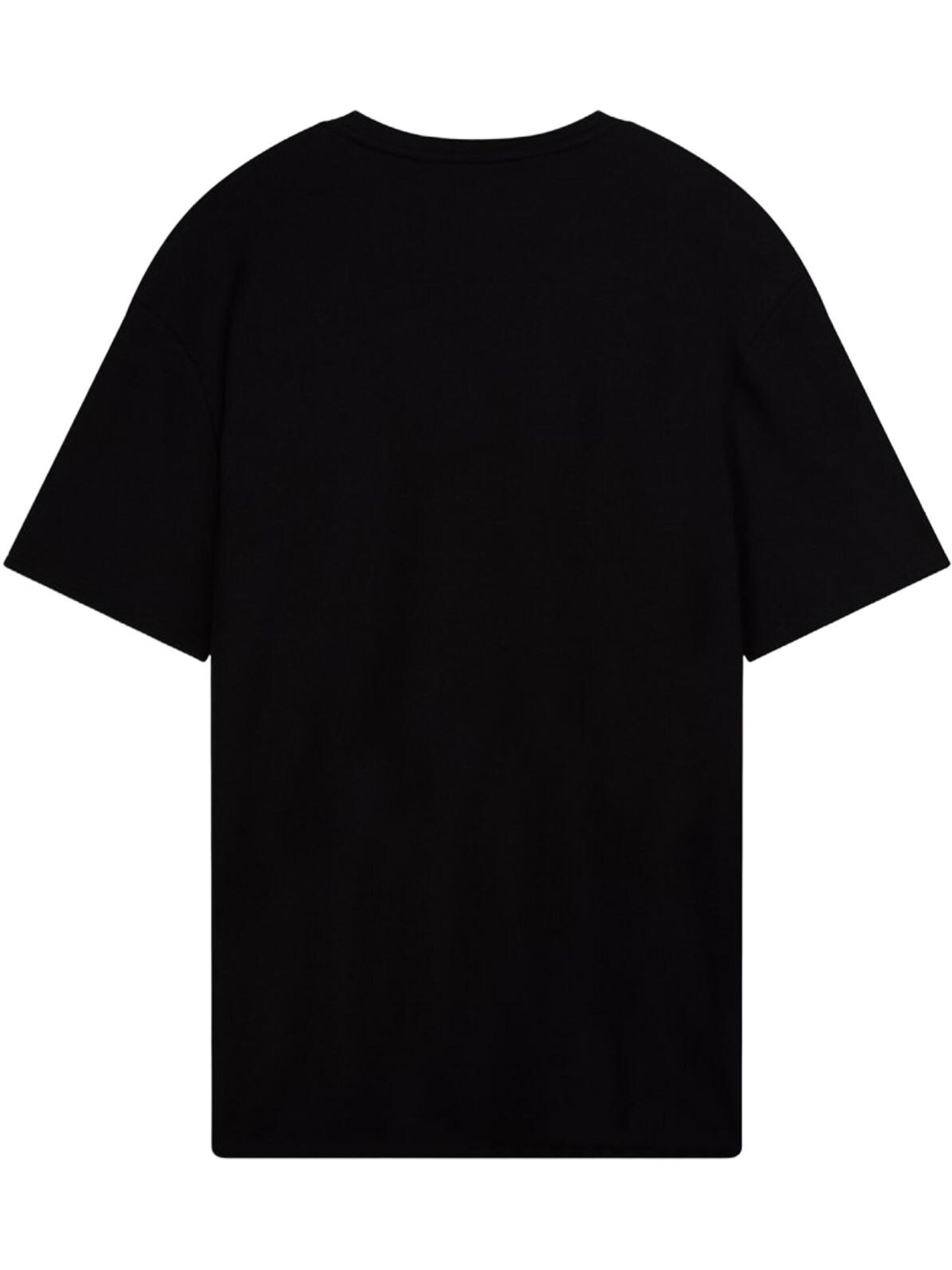 LTB Jeans Shirt 'LTB Jeans Basic Rundhals-T-Shirt' in Black