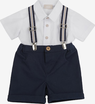 Chicco Setti värissä sininen: etupuoli