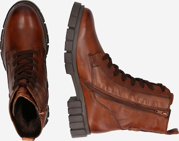 TT. BAGATT - Botas chelsea 'Fiona' em castanho