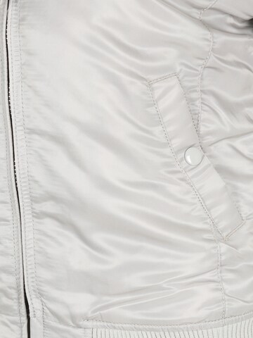 ALPHA INDUSTRIES Prehodna jakna | siva barva
