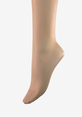 Esda Knee High Socks in Beige