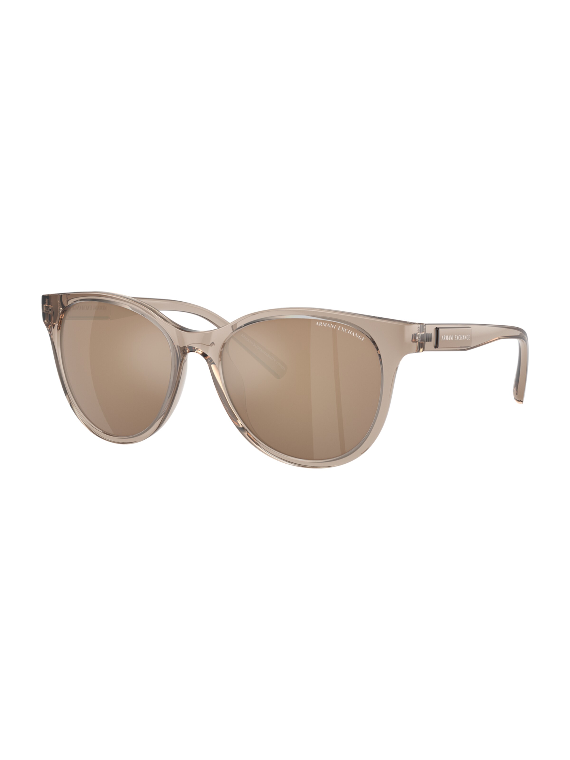 ARMANI EXCHANGE Sunglasses in Brown: front