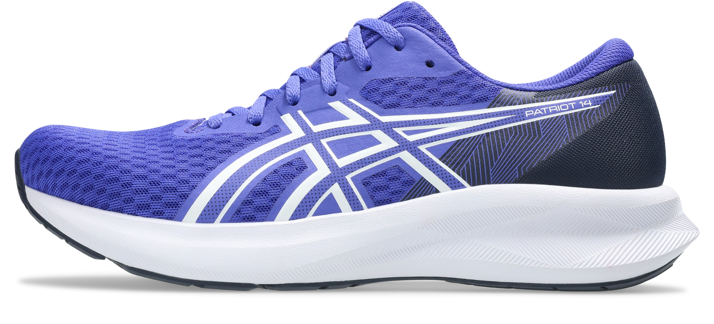 ASICS Laufschuh in Blau