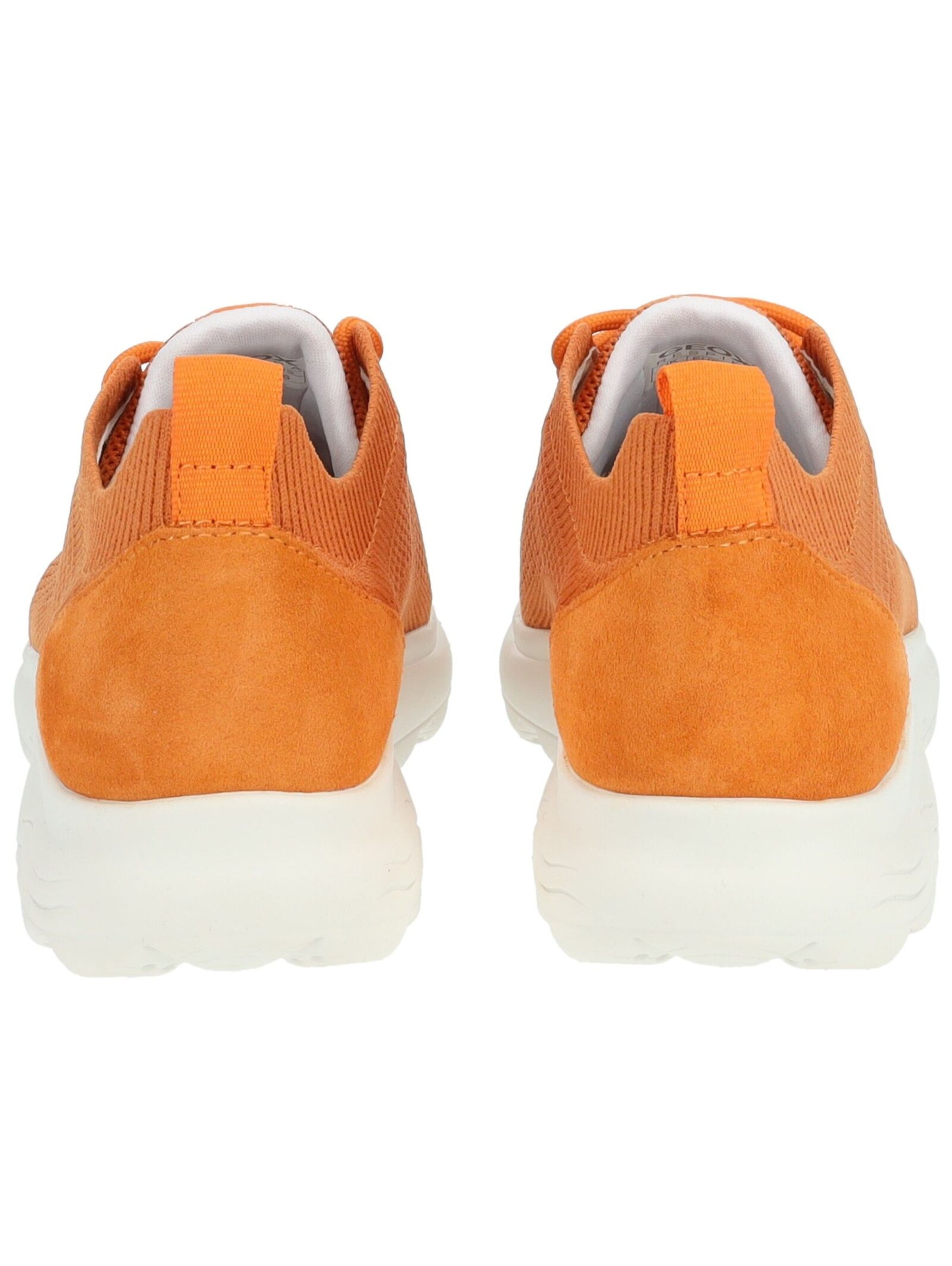 GEOX Sneaker 'Spherica' in Orange