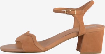 GEOX Sandaal in Beige: voorkant