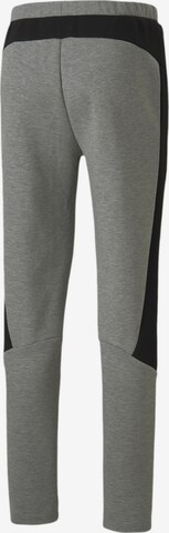 PUMA Regular Workout Pants 'Evostripe' in Grey