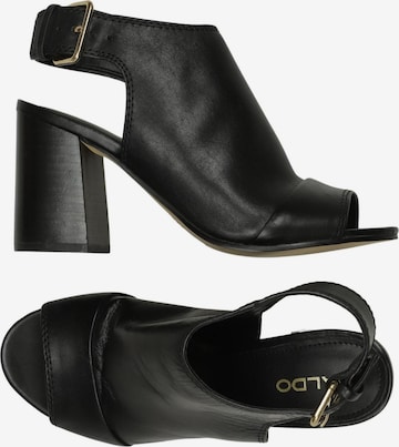 ALDO Pumps 35 in Schwarz: Vorderseite