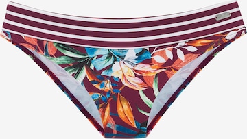 VENICE BEACHBikini donji dio - crvena boja: prednji dio