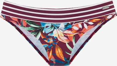 VENICE BEACH Braga de bikini en XS en azul cian / naranja / burdeos / blanco, Vista del producto