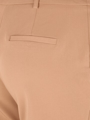 Dorothy Perkins Petite Normalny krój Spodnie w kant w kolorze brązowy