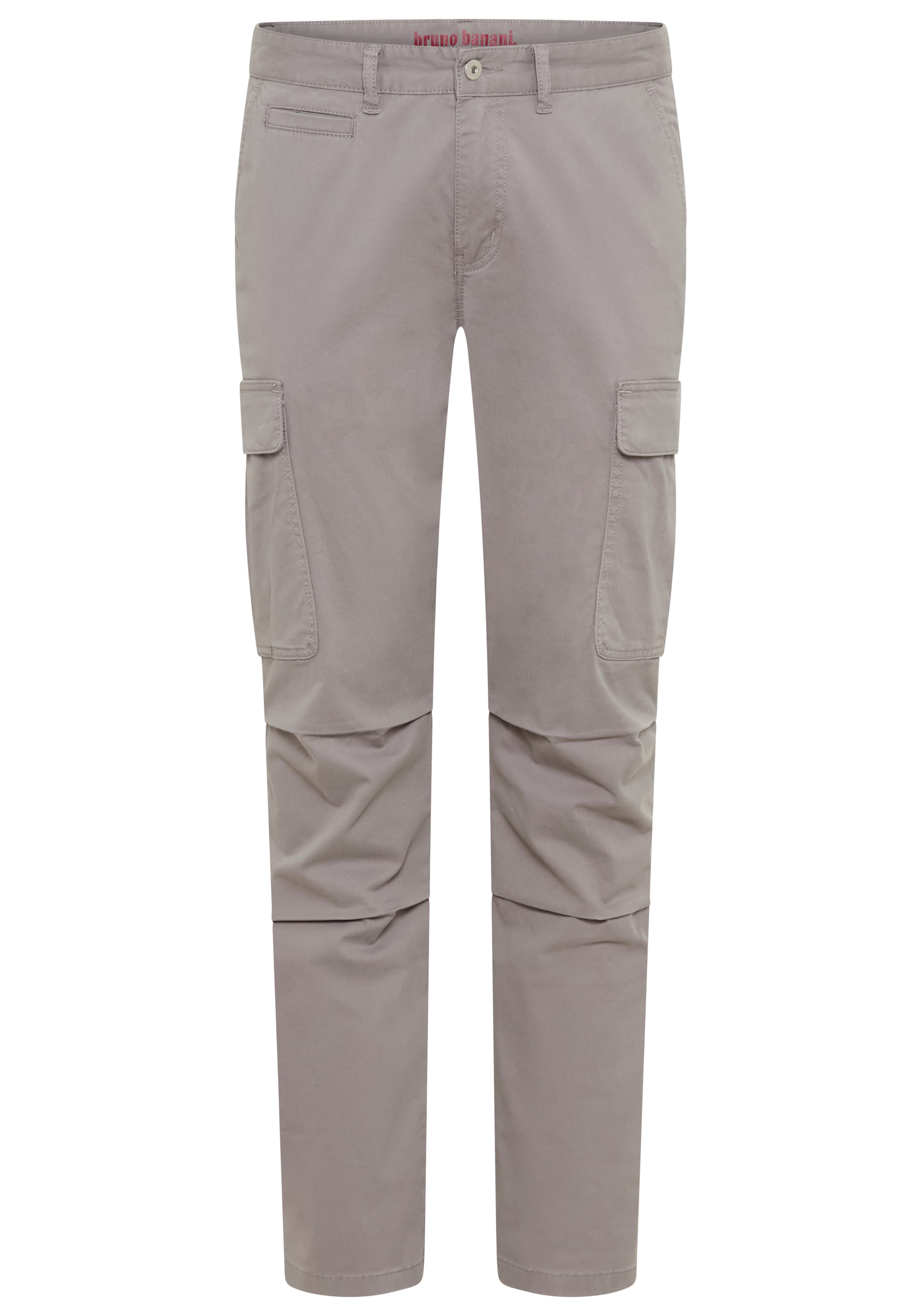 Bruno Banani LM Slim fit Pants in Grey: front