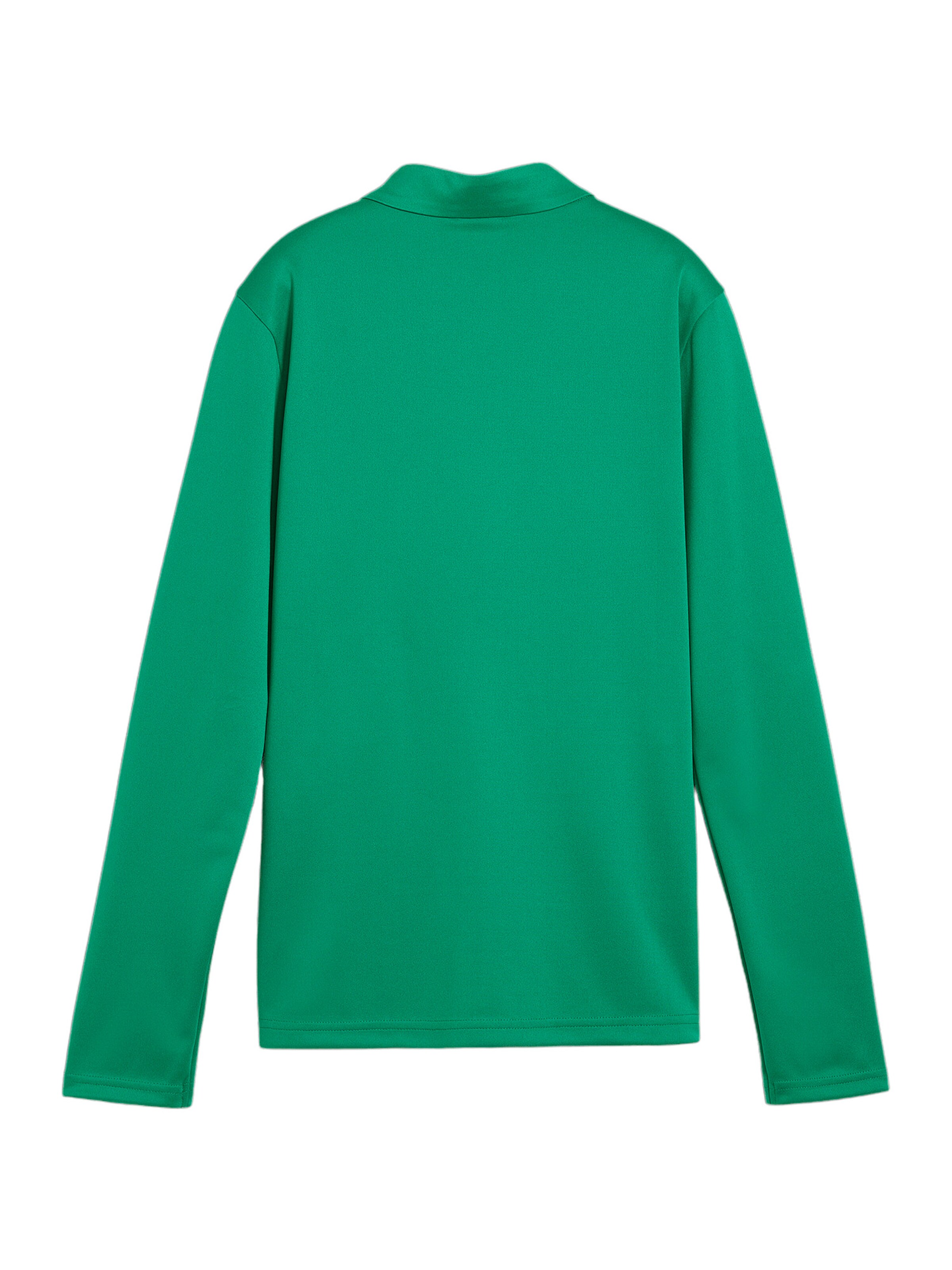 PUMA Training jacket 'TeamGoal' in Green