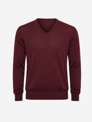 Il Lanificio Pullover‌‌‌ in Rot: Vorderseite