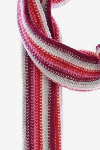 LACOSTE Scarf & Wrap in One size in Mixed colors