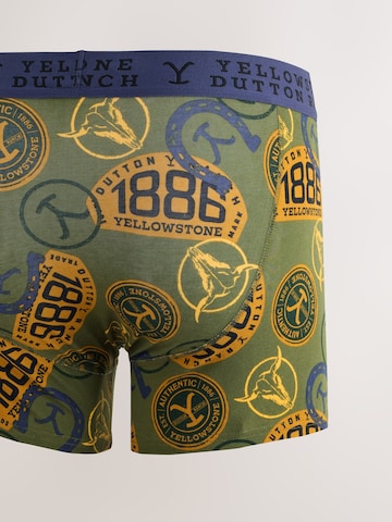 Next Boxershorts in Groen
