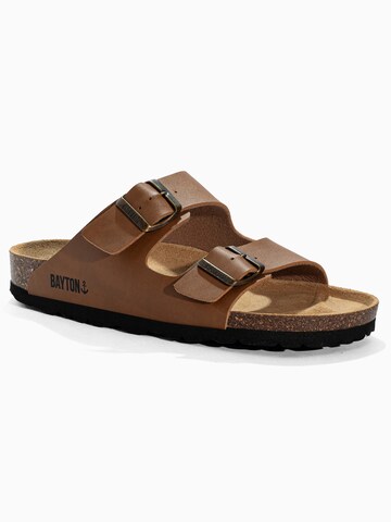 Bayton Muiltjes 'Tracy' in Bruin