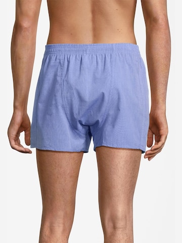Almonu Boxer shorts 'Web' in Blue