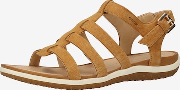 GEOX Sandals in Brown: front