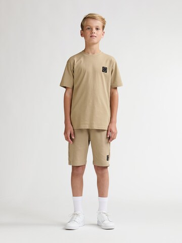 Petrol Industries Regular Trousers in Brown