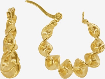 Boucles d'oreilles 'Octavi ' Heideman en or