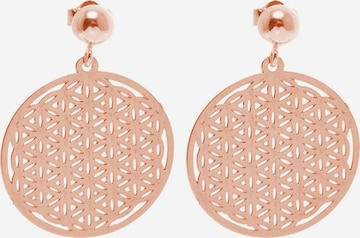 Boucles d'oreilles Gemshine en rose : devant