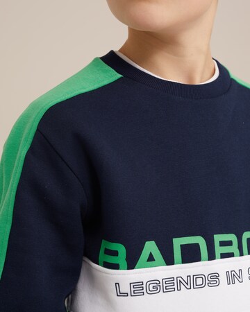 WE Fashion Sweatshirt in Green