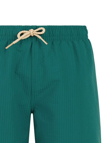 PROTEST Swimming shorts 'PRTYate JR' in Green