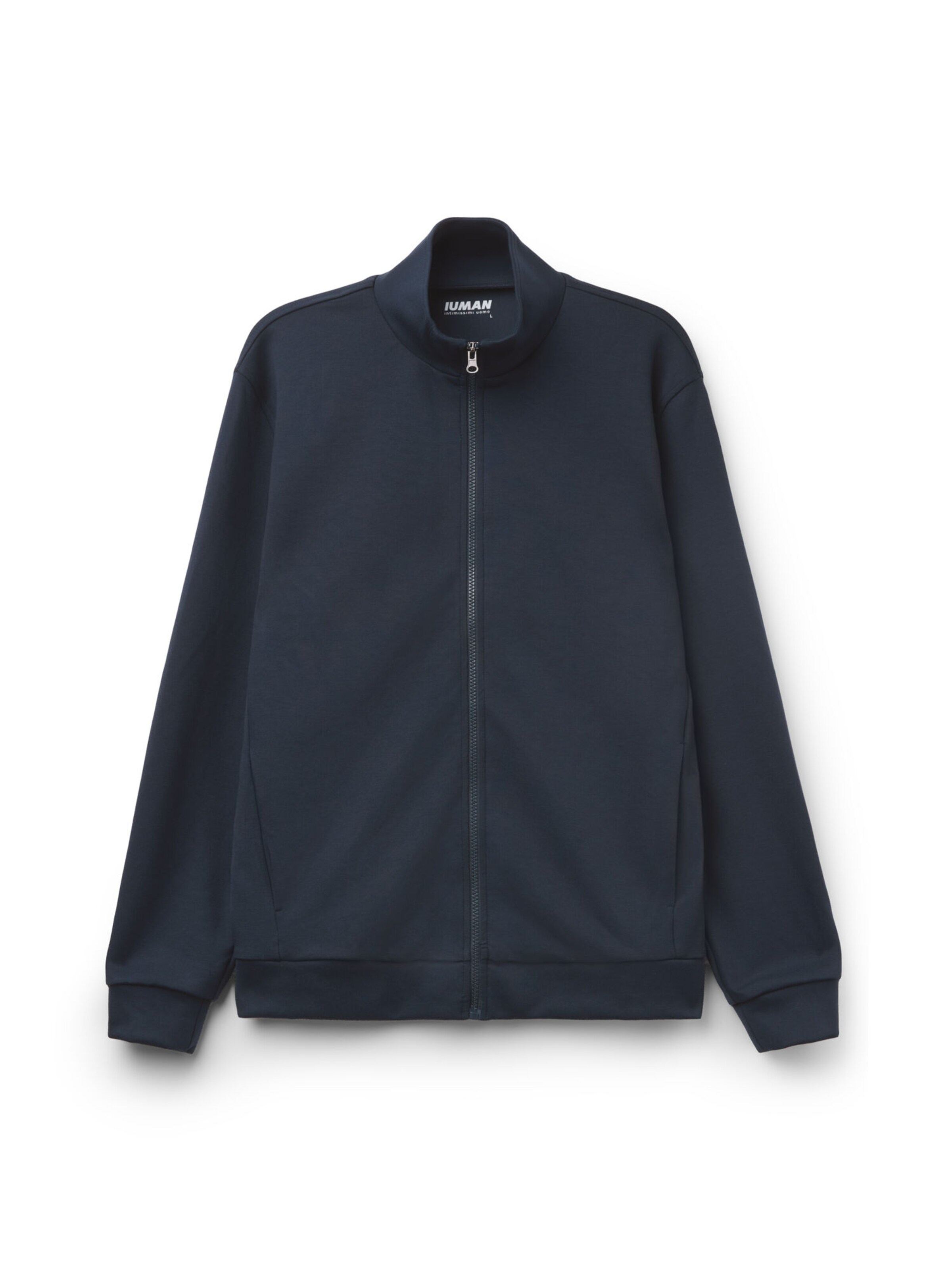 IUMAN Intimissimi Uomo Sweater in Blue: front