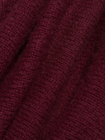 Brookshire Pullover in Rot