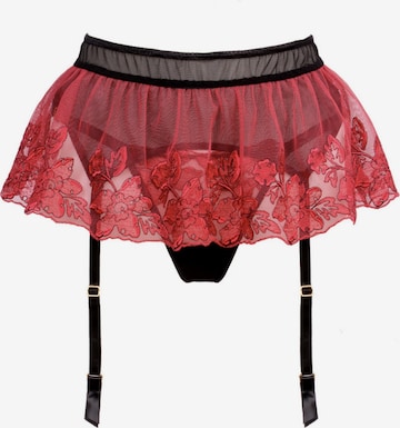 WHITE RVBBIT Strumpfhalter 'Cherry Dream' in Rot: Vorderseite