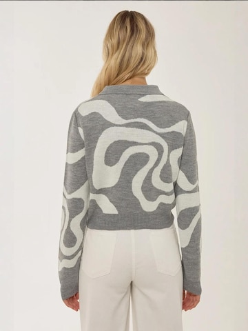 Pull-over Hiccup en gris