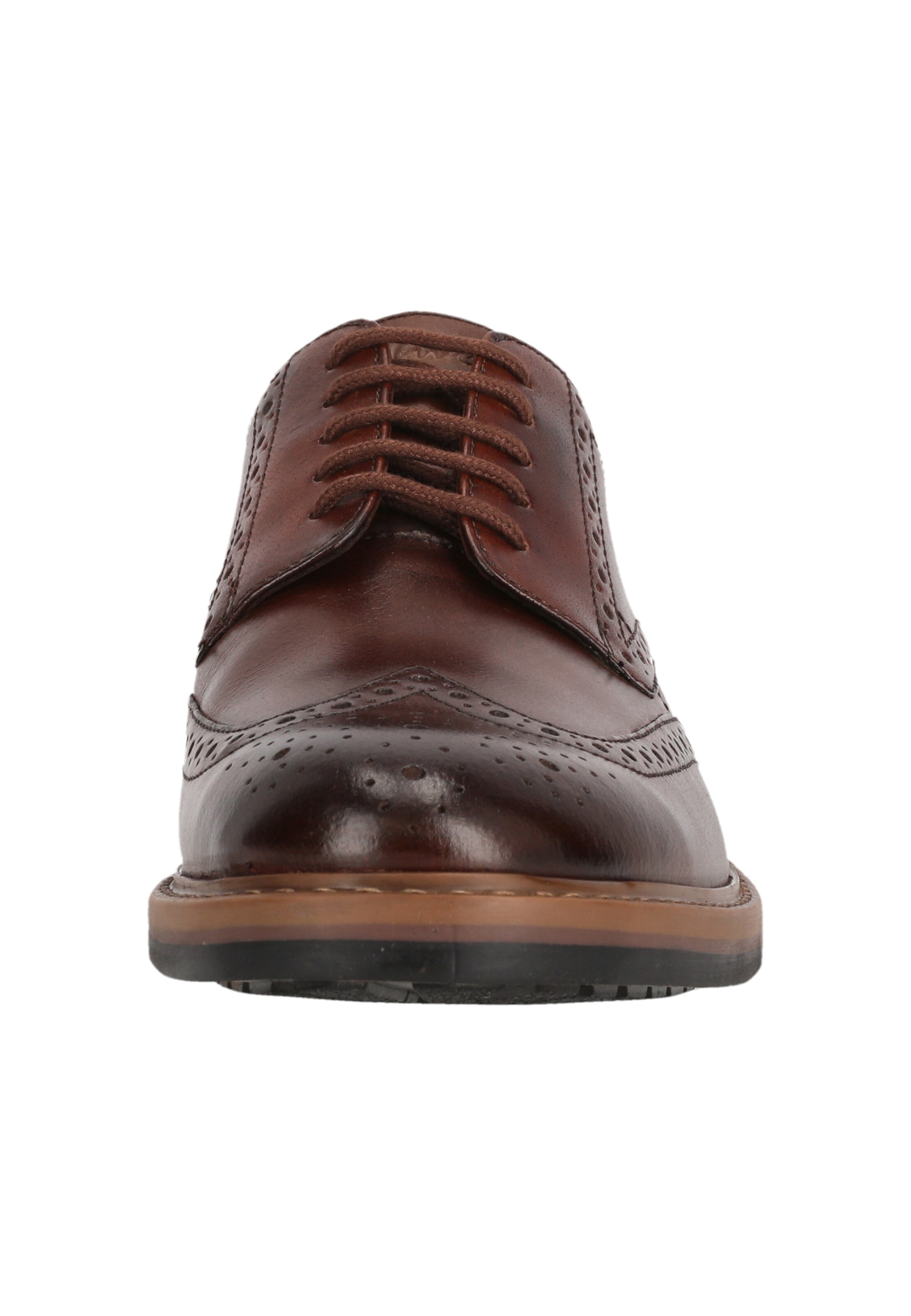 CLARKS Lace-Up Shoes 'Aldwin Limit' in Brown