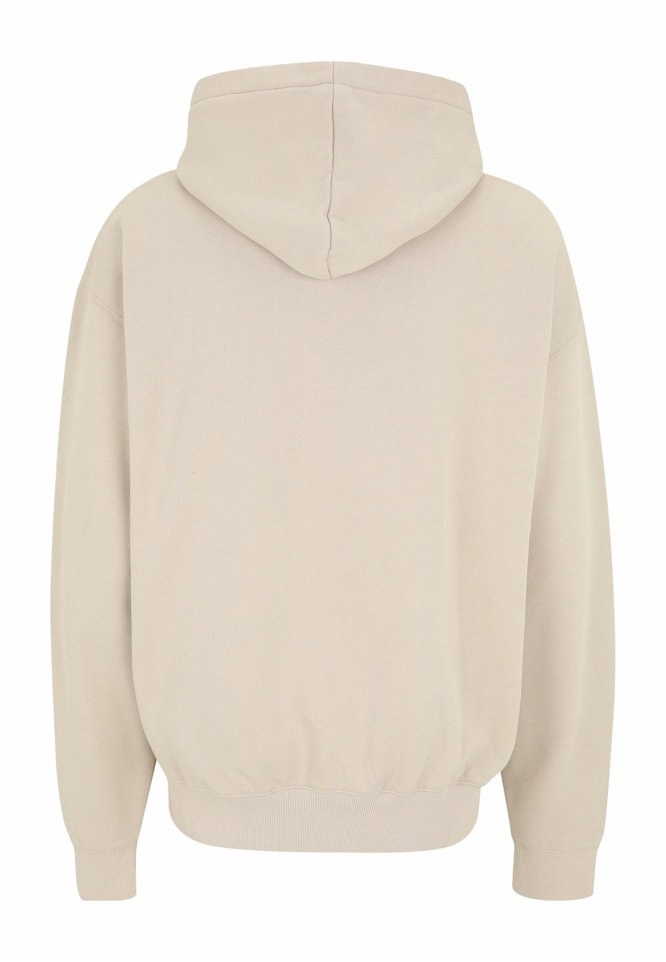 Pegador Sweatshirt 'Alden' in Beige