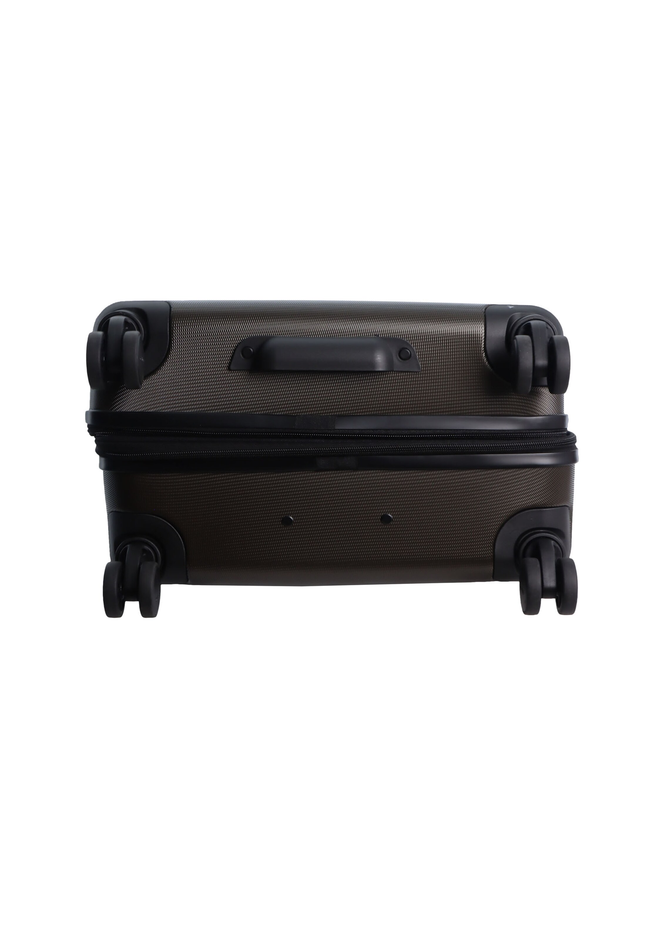 Discovery Koffer 'REPTILE' in Braun