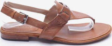 Lauren Ralph Lauren Sandals & High-Heeled Sandals in 40 in Brown: front