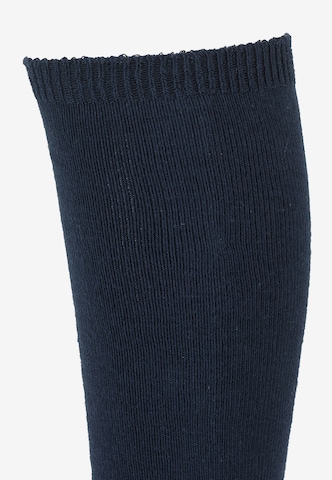 Chaussettes STERNTALER en bleu