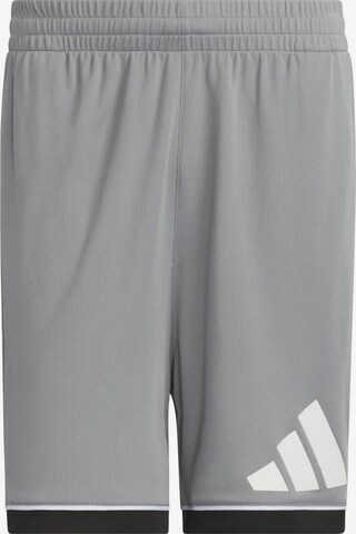 Pantaloni sportivi 'Basketball Badge of Sport' di ADIDAS PERFORMANCE in grigio: frontale
