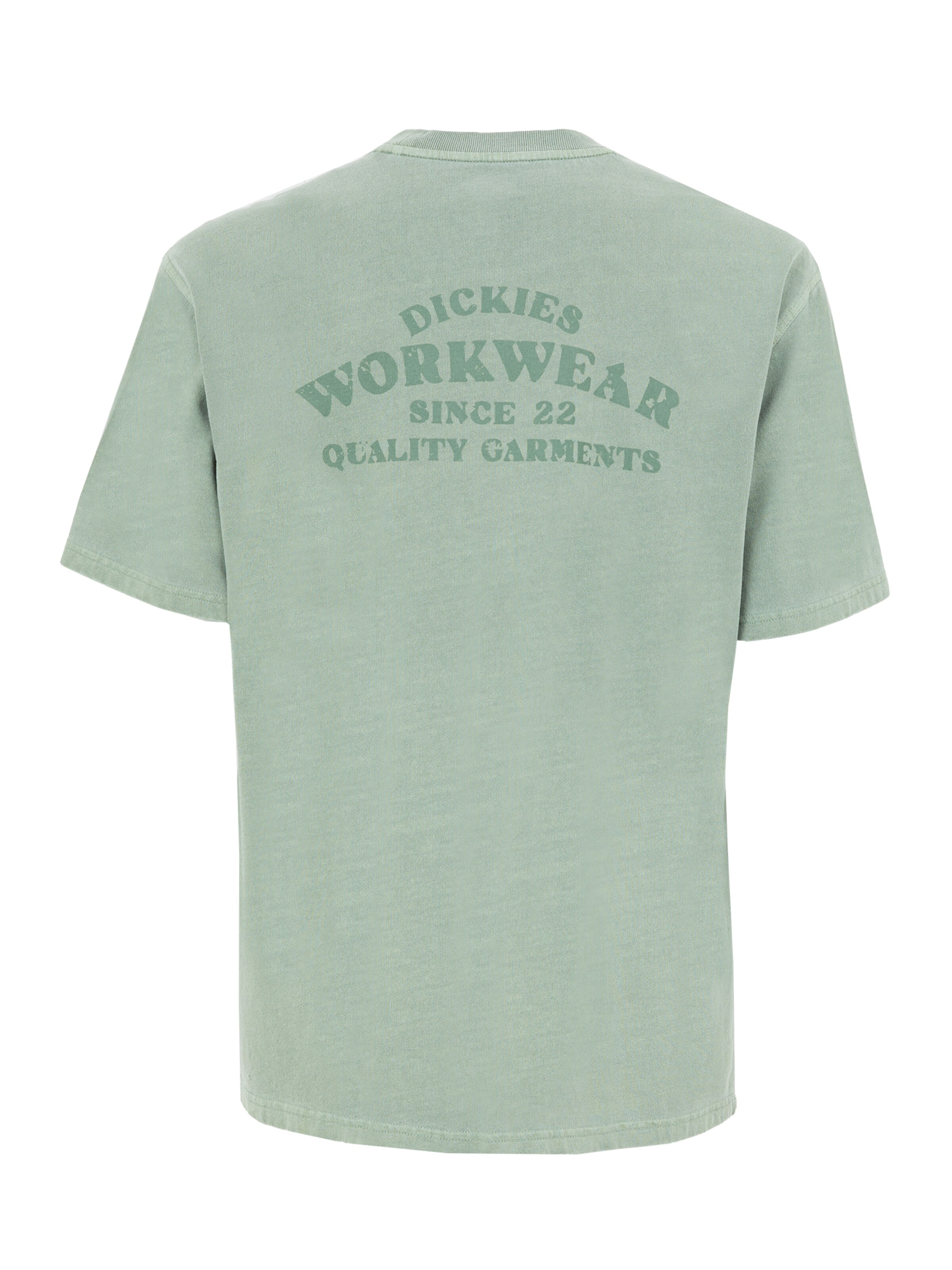 DICKIES Μπλουζάκι 'Christiana GD' σε πράσινο