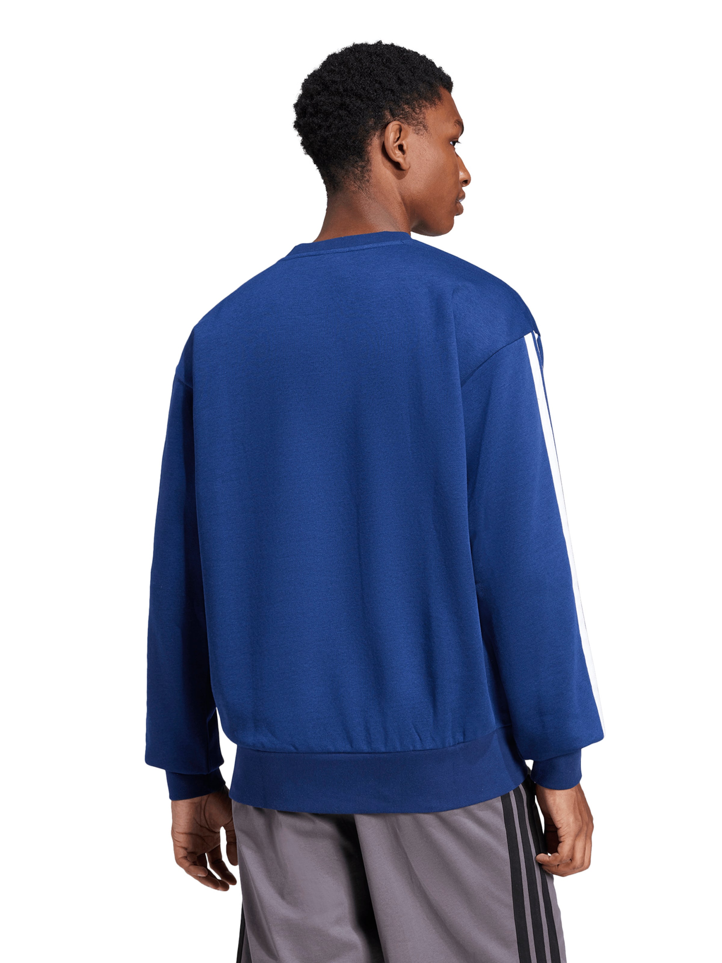 zils ADIDAS SPORTSWEAR Sportiska tipa džemperis