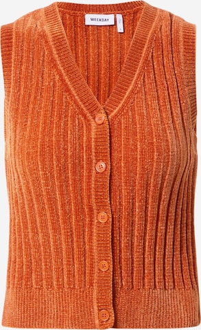 WEEKDAY Knitted Vest 'Mist Chenille' in Orange: front